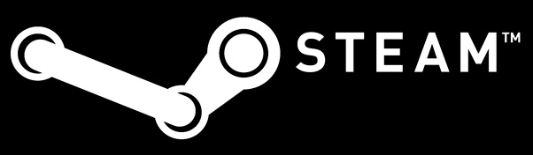 Questions bugs Steam FM 2013 Questions bugs Steam FM 2013