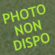 Freddy Guarin Freddy Guarin